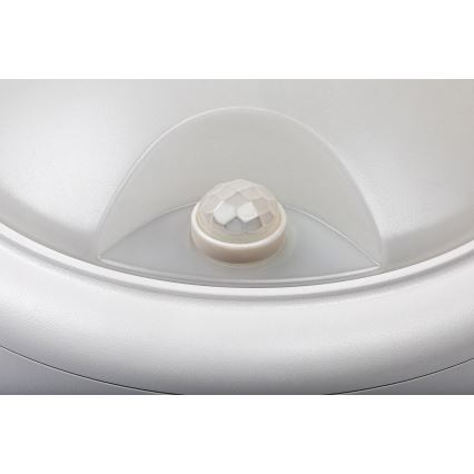 Rabalux - LED Ulkoseinävalaisin anturilla LED/15W/230V IP54