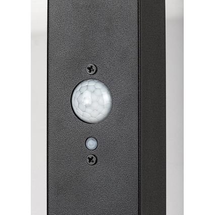 Rabalux - LED-aurinkolamppu anturilla LED/4W/3,7V IP44 musta