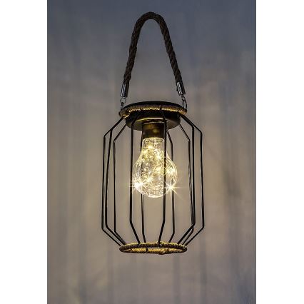 Rabalux - LED-aurinkovalaisin LED/0,2W/1,2V IP44