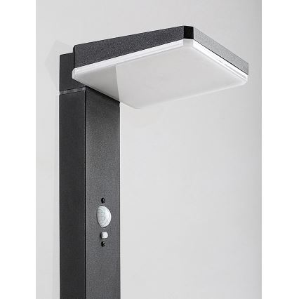 Rabalux - LED Himmennettävä aurinko ulko lamppu anturilla LED/4,4W/3,7V IP54 antrasiitti