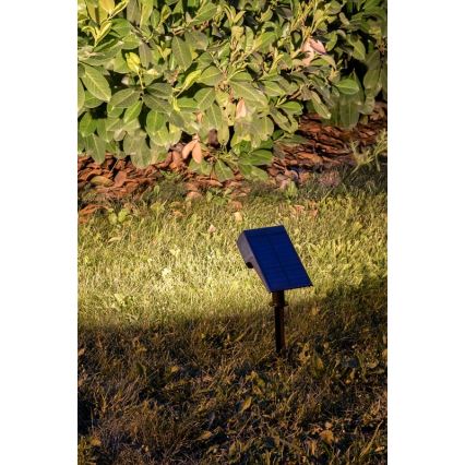 Rabalux - LED aurinkovalaisin LED/0,5W/3,7V IP65 musta 3000 mAh