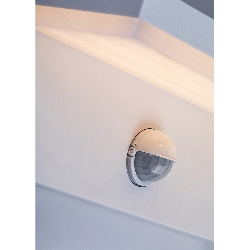 Rabalux - LED Ulkovalo anturilla LED/9W/230V 2700/4000/6500K IP54 valkoinen