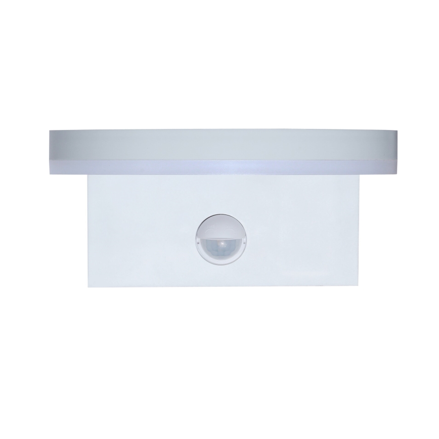 Rabalux - LED Ulkovalo anturilla LED/9W/230V 2700/4000/6500K IP54 valkoinen