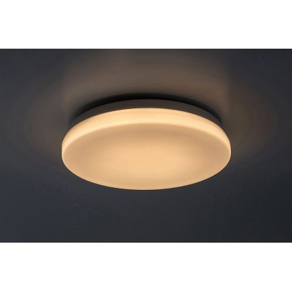 Rabalux - Kylpyhuoneen LED-kattovalaisin LED/12W/230V 3000/4000/6000K IP44 halkaisija 24 cm