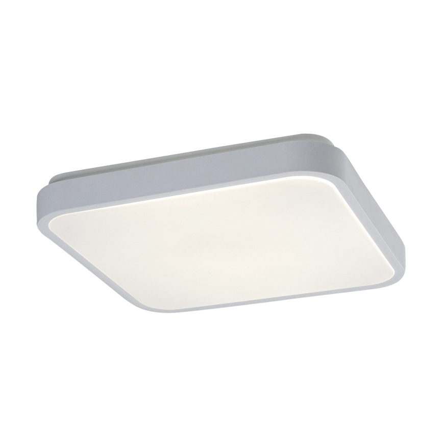 Rabalux - LED-kattovalaisin kylpyhuoneeseen anturilla LED/18W/230V 4000K IP44