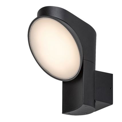 Rabalux - LED-ulkoseinävalaisin LED/12W/230V IP54