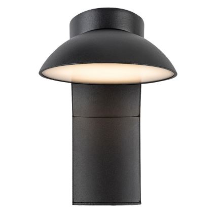 Rabalux - LED-ulkoseinävalaisin LED/12W/230V IP54