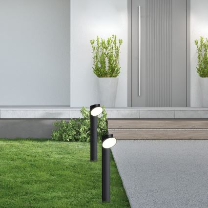 Rabalux - LED-ulkolamppu LED/12W/230V IP54