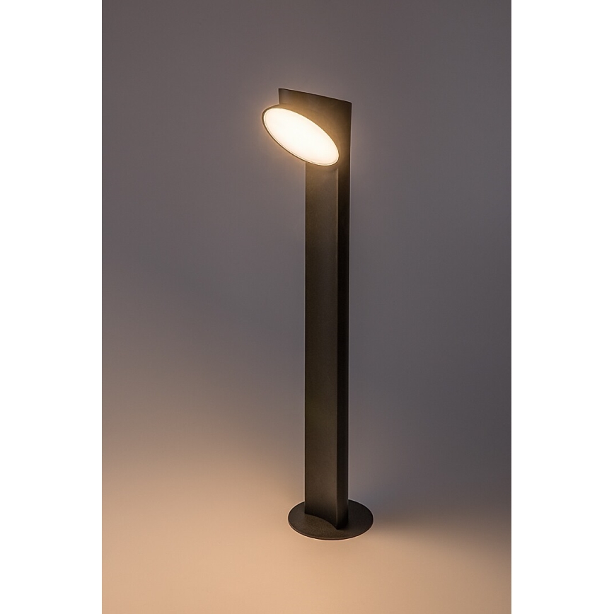 Rabalux - LED-ulkolamppu LED/12W/230V IP54