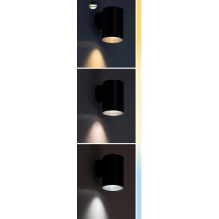 Rabalux - LED-ulkoseinävalaisin LED/9W/230V 2700/4000/6500K IP65 musta