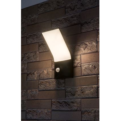 Rabalux - LED Ulkovalo anturilla LED/10W/230V IP54