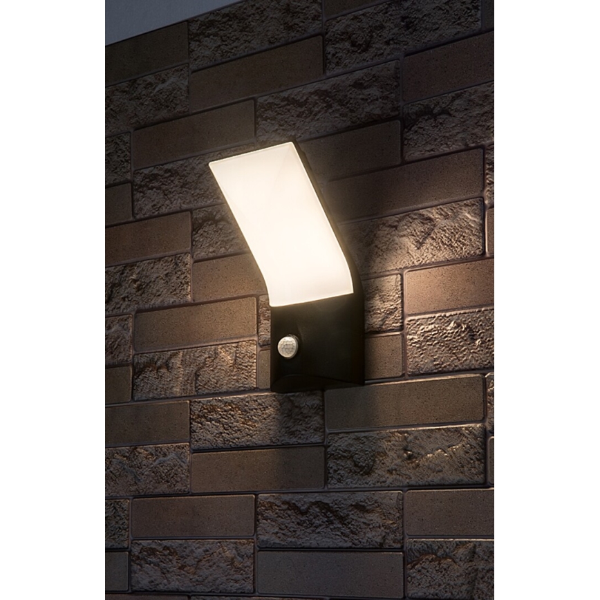 Rabalux - LED Ulkovalo anturilla LED/10W/230V IP54