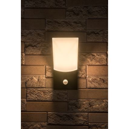 Rabalux - LED Ulkovalo anturilla LED/10W/230V IP54