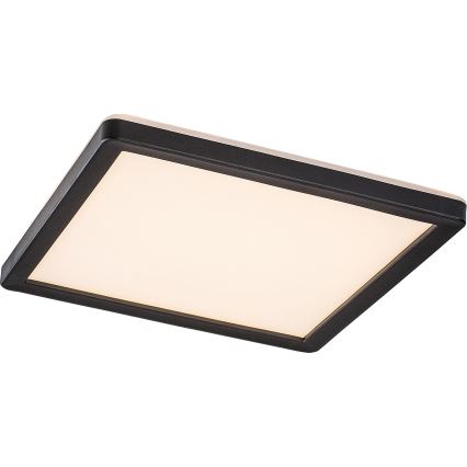 Rabalux - LED Himmennettävä ulkokattovalo LED/15W/230V Wi-Fi Tuya 2700-6500K IP44 + kauko-ohjain