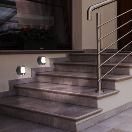 Rabalux - LED-ulkoseinävalaisin anturilla LED/1,5W/3xAA  IP44