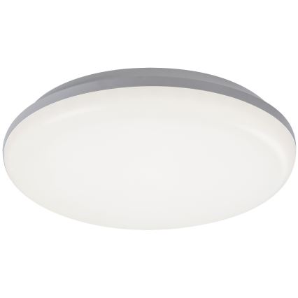 Rabalux - LED-ulkokattovalaisin LED/24W/230V IP64