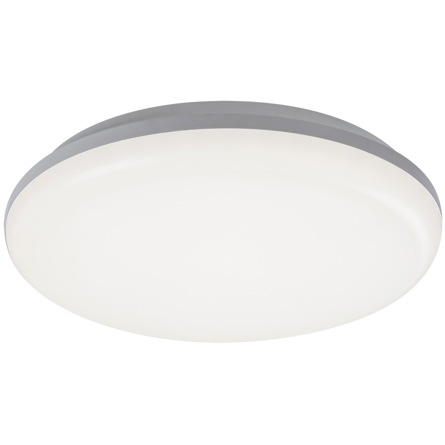 Rabalux - LED-ulkokattovalaisin LED/24W/230V IP64