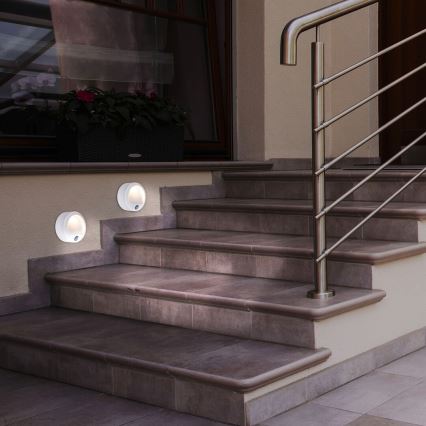 Rabalux - LED-ulkoseinävalaisin anturilla LED/1,5W/3xAA valkoinen IP44