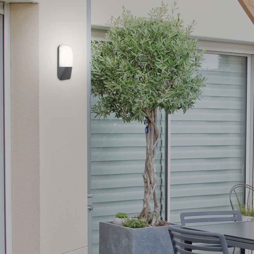 Rabalux - LED-ulkoseinävalaisin LED/10W/230V IP65 800lm 4000K