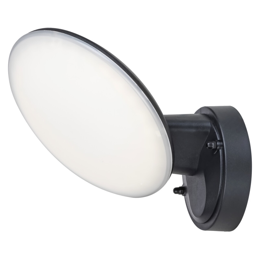 Rabalux 8134 - LED-ulkoseinävalaisin VARNA LED/12W/230V IP54