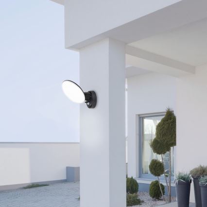 Rabalux - LED Ulkoseinävalaisin anturilla LED/12W/230V IP54