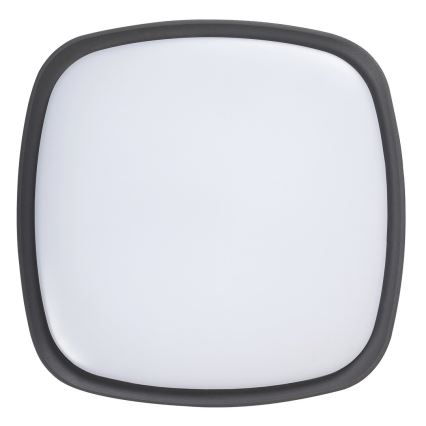 Rabalux - LED-ulkokattovalaisin LED/20W/230V IP65