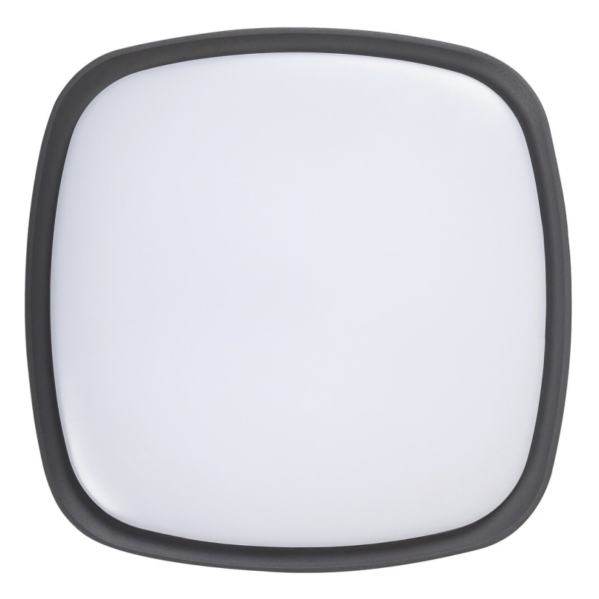Rabalux - LED-ulkokattovalaisin LED/20W/230V IP65
