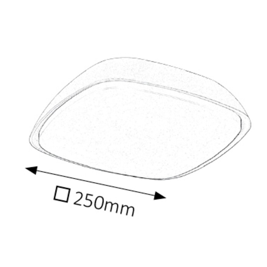 Rabalux - LED-ulkokattovalaisin LED/20W/230V IP65