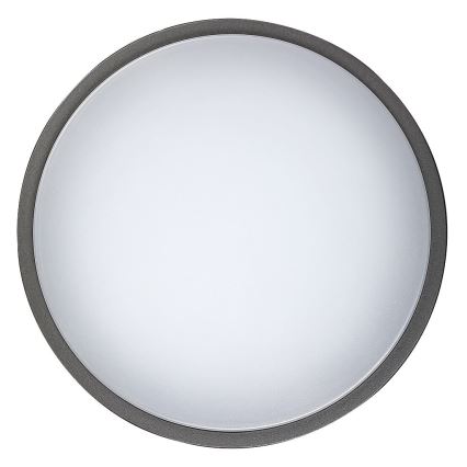 Rabalux - LED-ulkokattovalaisin HAMBURG LED/12W/230V IP44