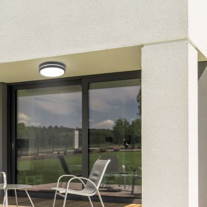 Rabalux 8848 - LED-ulkoseinävalaisin HAMBURG LED/12W/230V IP44