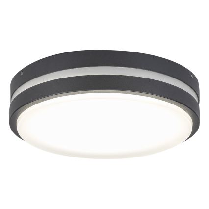 Rabalux 8848 - LED-ulkoseinävalaisin HAMBURG LED/12W/230V IP44