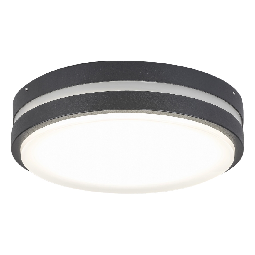 Rabalux 8848 - LED-ulkoseinävalaisin HAMBURG LED/12W/230V IP44