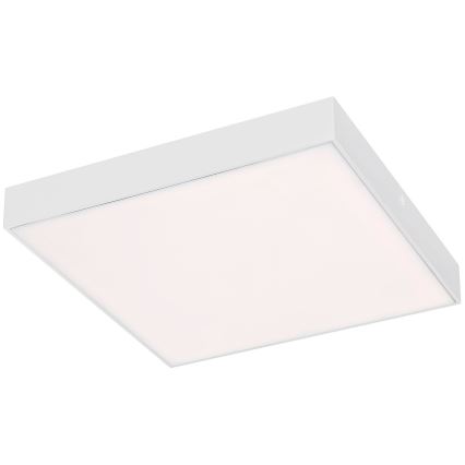 Rabalux - Himmennettävä LED-kattovalaisin LED/24W/230V 3000-6000K IP44 valkoinen