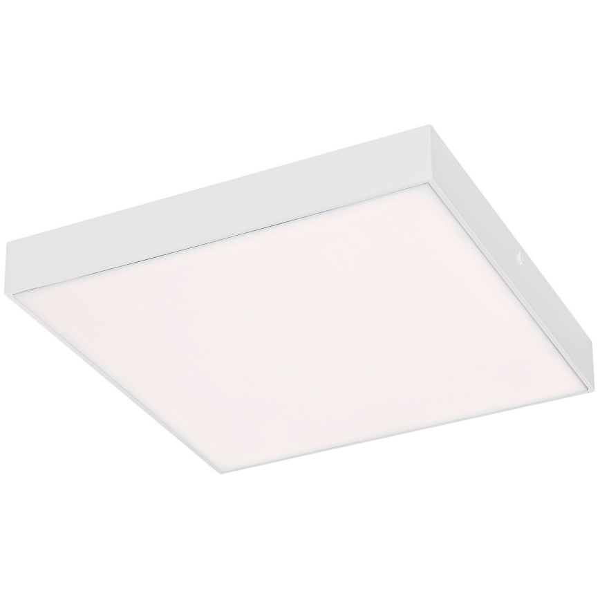 Rabalux - Himmennettävä LED-kattovalaisin LED/24W/230V 3000-6000K IP44 valkoinen