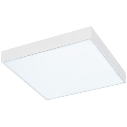 Rabalux - Himmennettävä LED-kattovalaisin LED/24W/230V 3000-6000K IP44 valkoinen