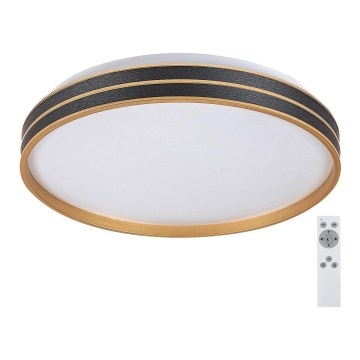 Rabalux - Himmennettävä LED-kattovalaisin LED/24W/230V 3000-6500K + kauko-ohjaus