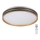 Rabalux - Himmennettävä LED-kattovalaisin LED/24W/230V 3000-6500K + kauko-ohjaus