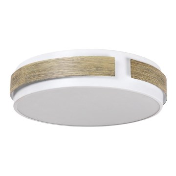 Rabalux - Himmennettävä LED-kattovalaisin LED/24W/230V