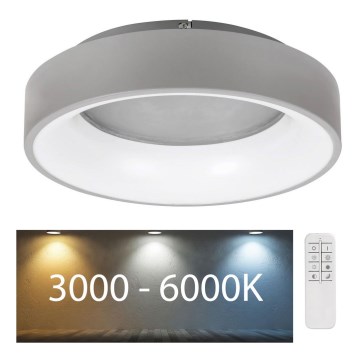 Rabalux - Himmennettävä LED-kattovalaisin LED/24W/230V pyöreä 3000-6000K + kauko-ohjaus