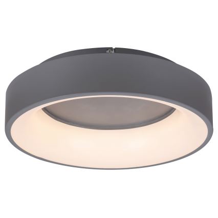 Rabalux - Himmennettävä LED-kattovalaisin LED/24W/230V pyöreä 3000-6000K + kauko-ohjaus