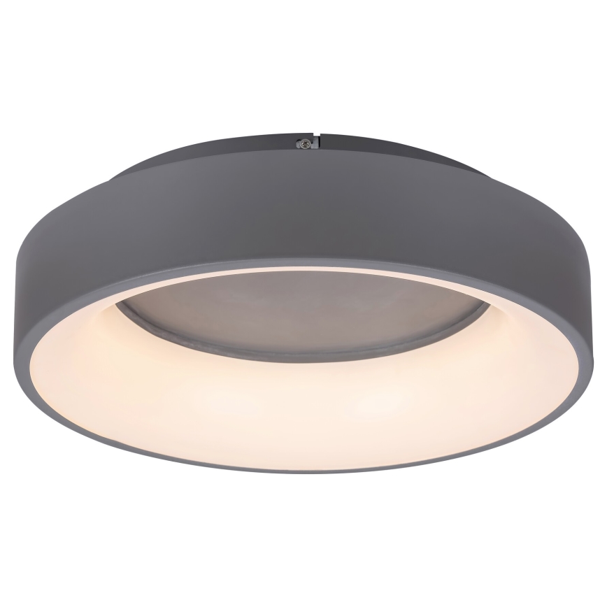 Rabalux - Himmennettävä LED-kattovalaisin LED/24W/230V pyöreä 3000-6000K + kauko-ohjaus