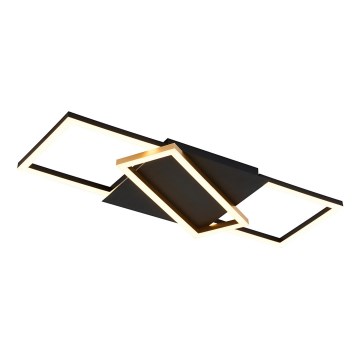 Rabalux - Himmennettävä LED-kattovalaisin LED/40W/230V 3000-6500K + kauko-ohjaus