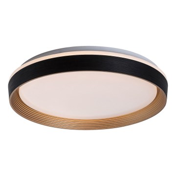 Rabalux - Himmennettävä LED-kattovalaisin LED/48W/230V 3000-6500K + kauko-ohjaus