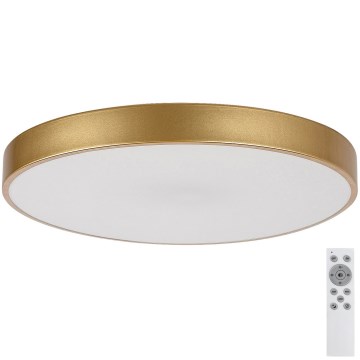 Rabalux - Himmennettävä LED-kattovalaisin LED/60W/230V 3000-6000K + kauko-ohjaus