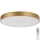 Rabalux - Himmennettävä LED-kattovalaisin LED/60W/230V 3000-6000K + kauko-ohjaus