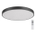 Rabalux - Himmennettävä LED-kattovalaisin LED/60W/230V 60 cm + kauko-ohjaus