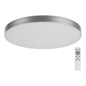 Rabalux - Himmennettävä LED-kattovalaisin TESIA LED/60W/230V 60 cm + kaukosäädin