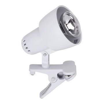 Rabalux - Lamppu kiinnikkeellä 1xE14/40W/230V valkoinen