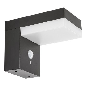 Rabalux - LED aurinkovalo anturilla LED/6W/3,7V IP44