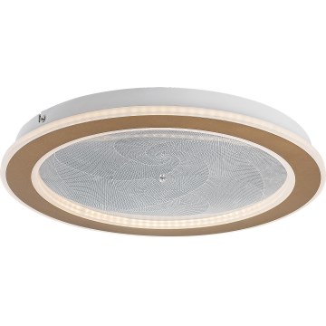 Rabalux - LED-himmennettävä kattovalaisin LED/24W/230V 3000-6500K halkaisija 40 cm + kaukosäädin